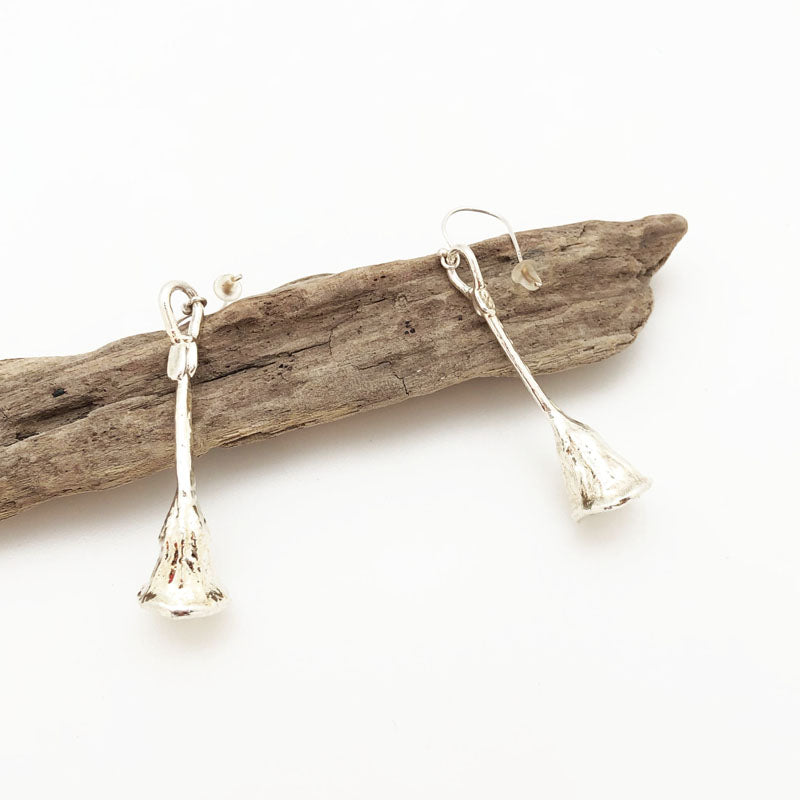 Eucalyptus seed silver earrings